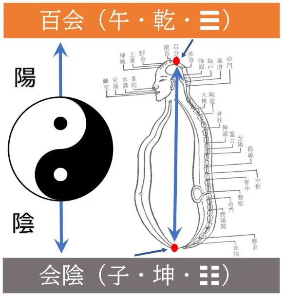 百会会陰と陽陰の関連図